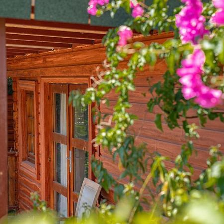 Felicity Hotel & Bungalows Kemer Eksteriør billede
