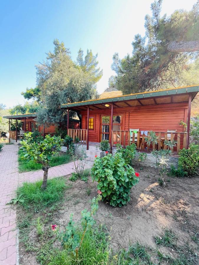 Felicity Hotel & Bungalows Kemer Eksteriør billede