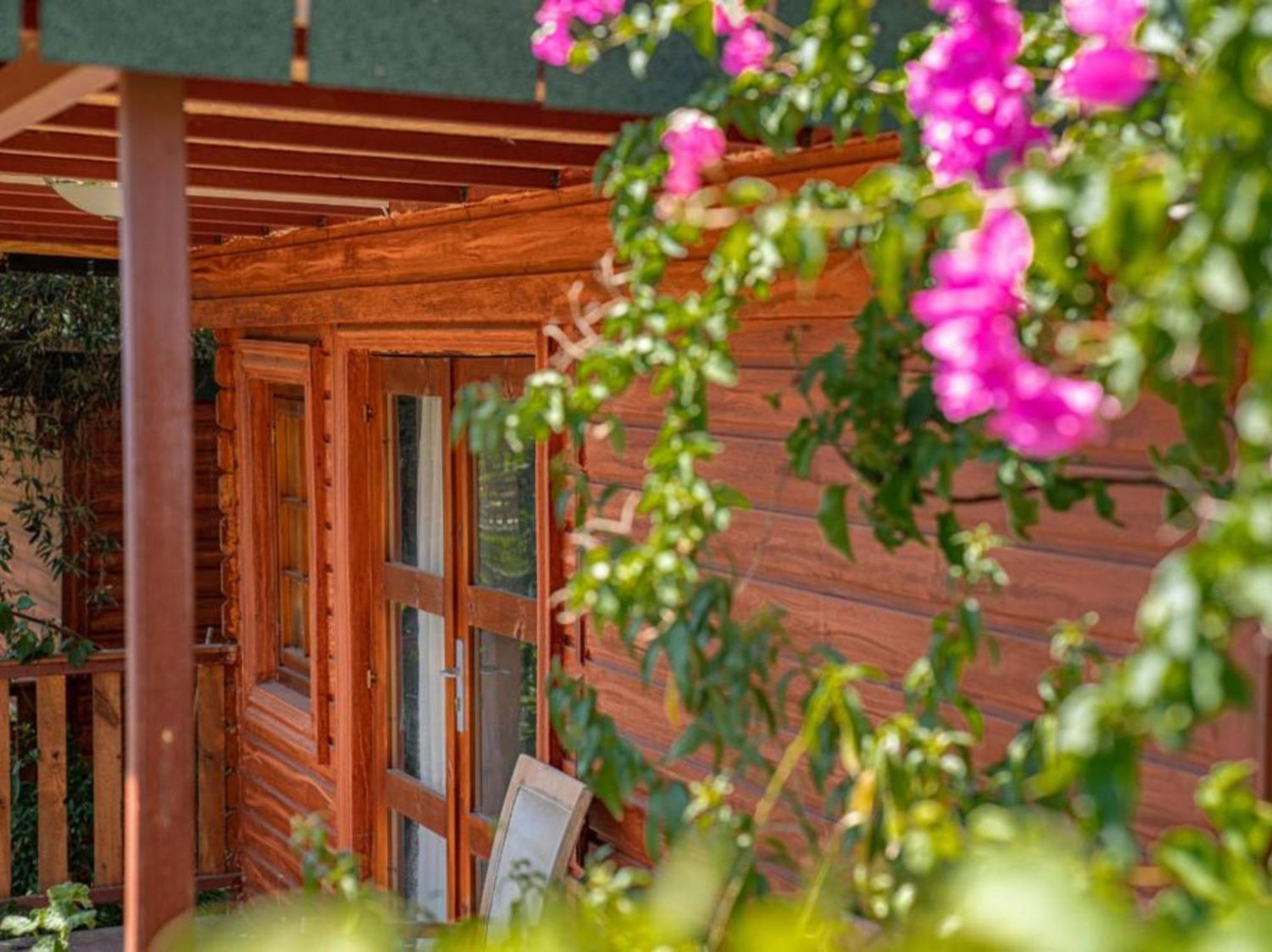 Felicity Hotel & Bungalows Kemer Eksteriør billede