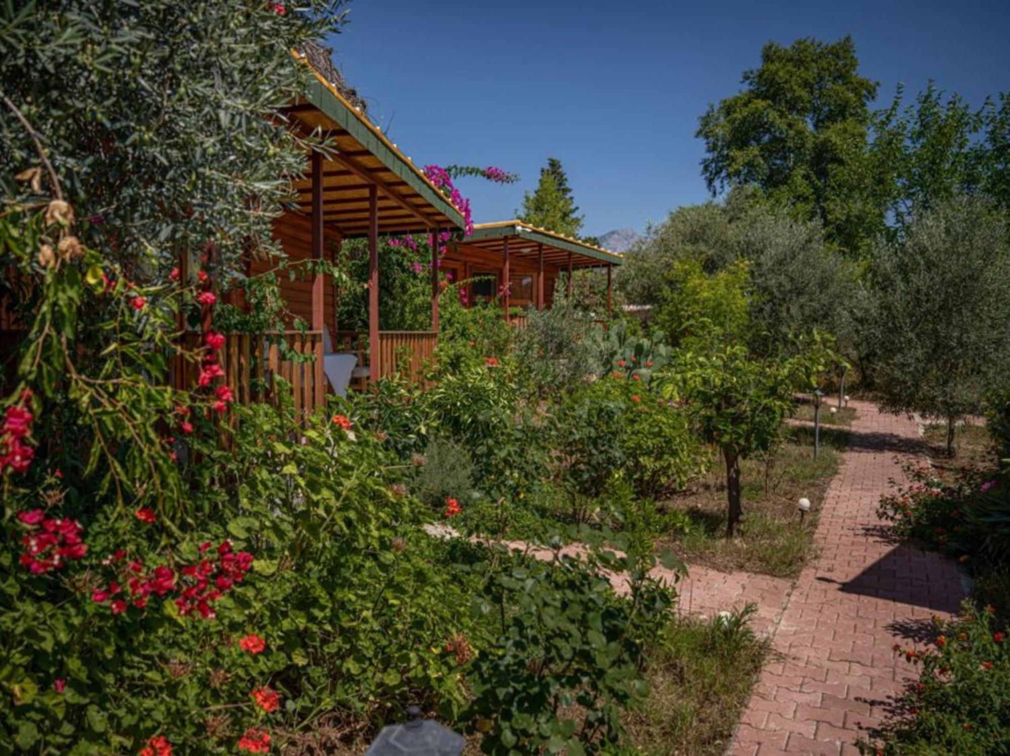 Felicity Hotel & Bungalows Kemer Eksteriør billede