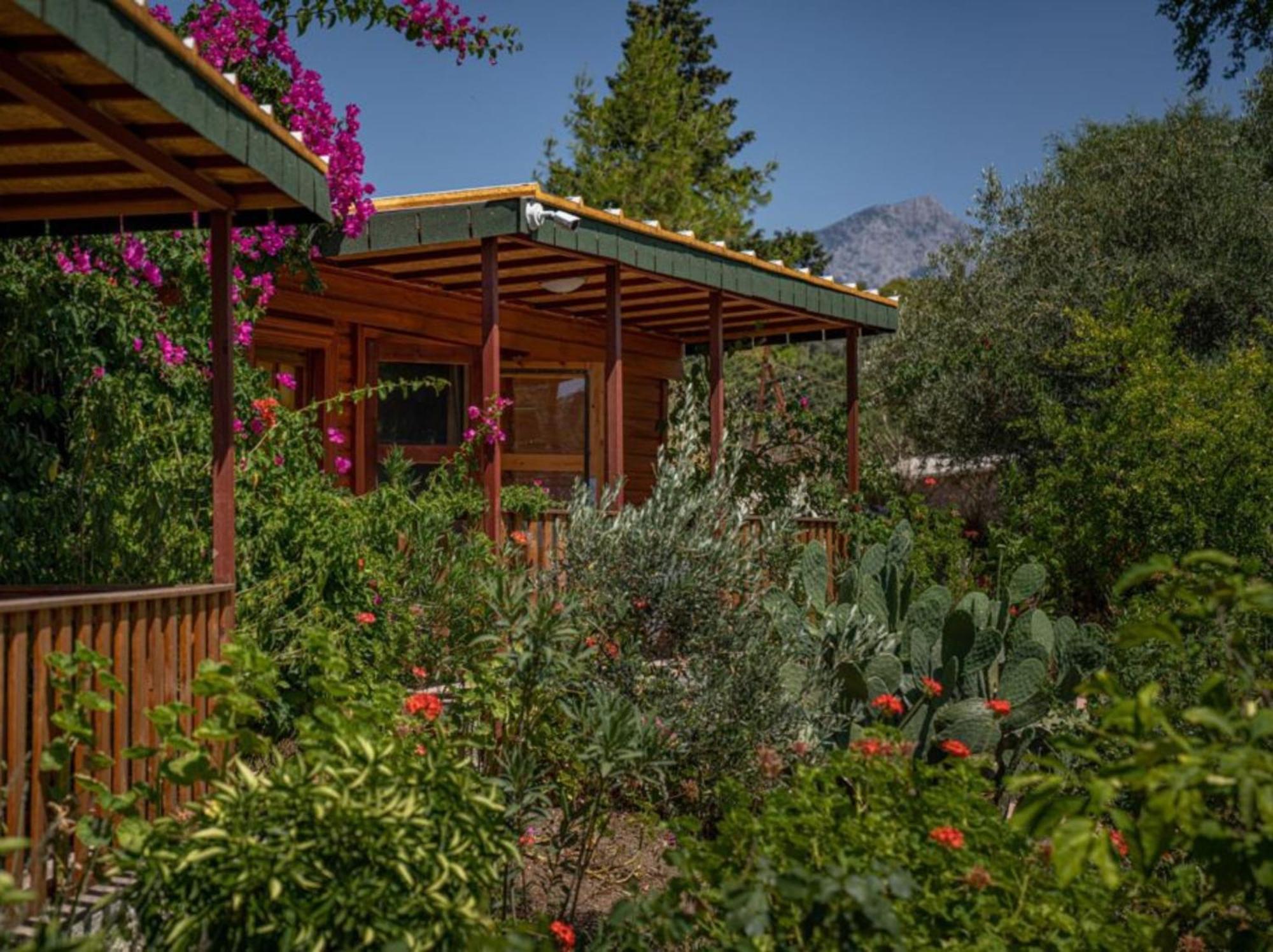 Felicity Hotel & Bungalows Kemer Eksteriør billede